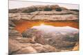 Premium Photographic Print