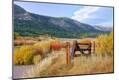Photographic Print