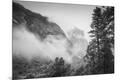 Photographic Print