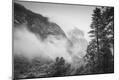 Photographic Print