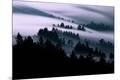 Premium Photographic Print