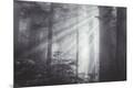 Photographic Print
