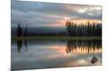 Photographic Print