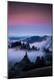 Premium Photographic Print