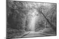 Photographic Print