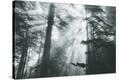 Stretched Canvas Print