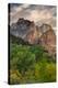 Stretched Canvas Print