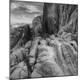 Premium Photographic Print