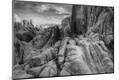 Photographic Print