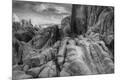 Photographic Print