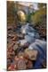 Premium Photographic Print