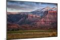 Photographic Print