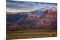 Photographic Print