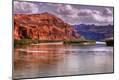 Photographic Print