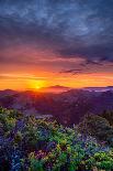 Late Spring Sunrise Magic, Mount Diablo, Lafayette, California, Oakland-Vincent James-Photographic Print