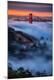 Premium Photographic Print