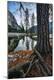 Photographic Print