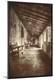 Photographic Print