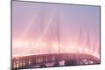 Premium Photographic Print