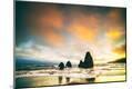Photographic Print