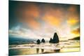 Photographic Print