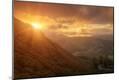 Premium Photographic Print