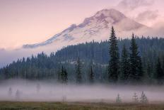 Misty Morning at Mount Hood Meadow-Vincent James-Photographic Print