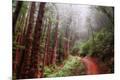 Photographic Print