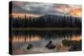 Stretched Canvas Print