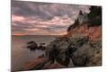 Photographic Print