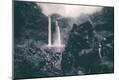 Photographic Print