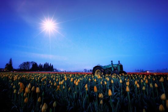 Photographic Print, , large