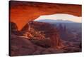 Stretched Canvas Print