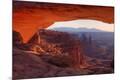 Premium Photographic Print