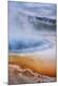 Premium Photographic Print