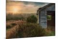 Premium Photographic Print
