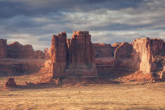 Photographic Print, , large