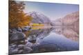 Photographic Print