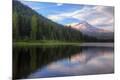 Photographic Print