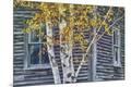 Photographic Print