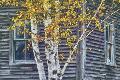 Photographic Print