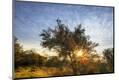 Photographic Print