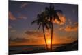 Premium Photographic Print