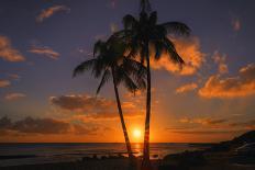 Sunset at Kapalua, Maui-Vincent James-Photographic Print