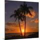 Premium Photographic Print