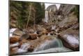 Photographic Print