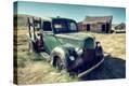 Stretched Canvas Print