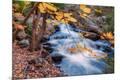 Photographic Print