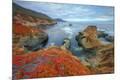 Premium Photographic Print