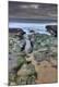 Premium Photographic Print